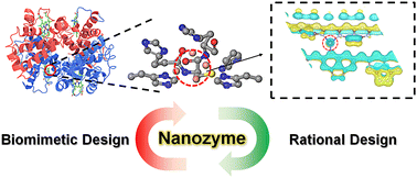 Graphical abstract: Bioinspired single-atom nanozymes for microplastic degradation