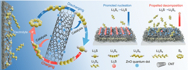 Graphical abstract: Carbon nanotubes decorated with zinc oxide quantum dots enable high-efficiency lithium–sulfur batteries