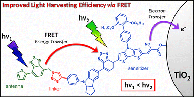 Graphical abstract: Improved light harvesting via energy transfer within a benzothiadiazole-based antenna–sensitizer dyad for dye-sensitized solar cells