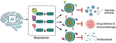 Graphical abstract: Controlling nanocage assembly, towards developing a one-health “plug & play” platform for targeted therapy