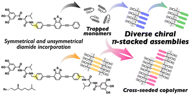 Graphical abstract: Seeded control of symmetry-directed diverse chiral π-stacked benzothiadiazole assemblies with leucine-based diamide units