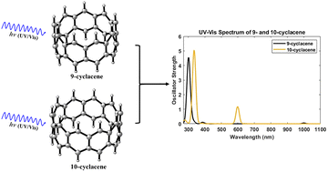 Graphical abstract: Impact of cyclacene size on their electronically excited singlet states