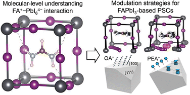 Graphical abstract: Molecular-level understandings and device strategies for FAPbI3-based perovskite solar cells