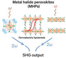 Graphical abstract: Dynamic control of halide perovskite structures for tailored ferroelectric and second-order nonlinear optical functionalities