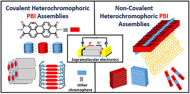 Graphical abstract: Advances in heterochromophoric perylene bisimide self-assemblies towards supramolecular electronics