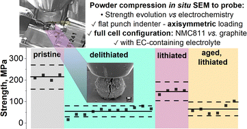 Graphical abstract: Investigating the effect of lithiation on polycrystalline NMC811 Li-ion battery cathode cracking using in situ SEM micromechanical testing