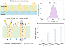 Graphical abstract: Interfacial supramolecular interactions regulated oligomer networking into robust sub-nanochannels for efficient osmotic energy conversion