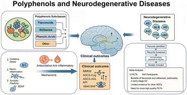 Graphical abstract: Polyphenol consumption and neurodegeneration risk: a systematic meta-analysis of randomized controlled trials bridging nutrition and cognitive health