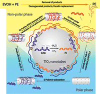 Graphical abstract: Self-cleaning catalysts enable recycling of multilayered plastic films