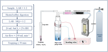 Graphical abstract: A digestion-purging-trapping method for precise stable mercury isotope measurements of natural carbonates