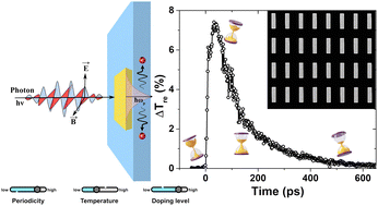Graphical abstract: Picosecond dynamics of hot carriers in infrared plasmonic metasurfaces