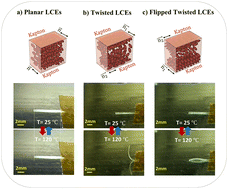 Graphical abstract: Surface-induced alignment of liquid crystal elastomers on commercial polyimide-based films