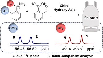 Graphical abstract: Enantiodifferentiation of chiral hydroxy acids via19F NMR