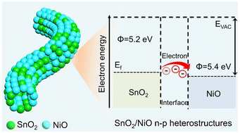 Graphical abstract: Oxygen vacancy-enriched SnO2/NiO n–p heterointerfaces for high-efficiency oxygen evolution reaction catalysis