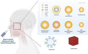 Graphical abstract: Next-generation lipid nanocarriers for Parkinson's therapy: nose-to-brain innovations and clinical prospects