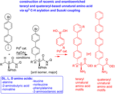 Graphical abstract: Successive diastereoselective C(sp3)–H arylation and Suzuki coupling toward enantioenriched polyaryl unnatural amino acid motifs