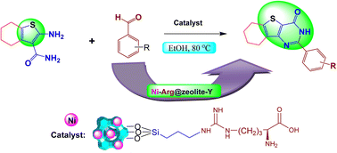 Graphical abstract: Design and preparation of a new Ni/Arg@zeolite-Y nano-composite: investigation of its performance as a multi-functional and bio-organic catalyst for the one-pot synthesis of thieno[2,3-d]pyrimidinones