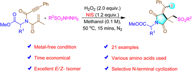 Graphical abstract: Radical cascade cyclization of amino acid-tethered 1,6-enynones with sulfonyl hydrazides for N-terminal modification: synthesis of functionalized succinimide derivatives
