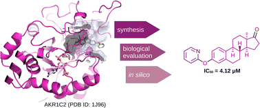 Graphical abstract: Directed C–H activation of 13α-estrone: a pathway to promising AKR1C inhibitors via docking and biological studies