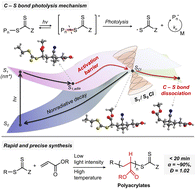 Graphical abstract: Rapid and precise synthesis of acrylic polymers driven by visible light