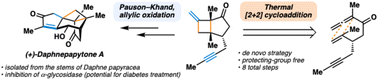 Graphical abstract: Concise total synthesis of the cage-like sesquiterpenoid (+)-daphnepapytone A