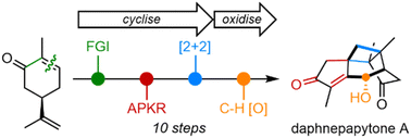 Graphical abstract: Bio-inspired total synthesis of daphnepapytone A