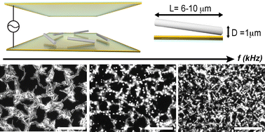 Graphical abstract: Field-driven reversible networks from colloidal rods