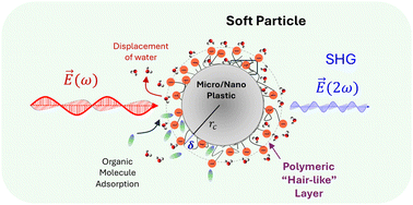 Graphical abstract: Surface functional group dependent enthalpic and entropic contributions to molecular adsorption on colloidal microplastics