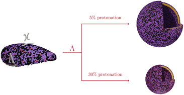 Graphical abstract: Line tension controls the spontaneous formation of vesicles