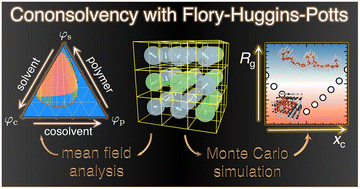 Graphical abstract: Role of interaction anisotropy in polymer cononsolvency: insights from the Flory–Huggins–Potts framework
