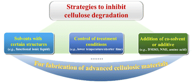 Graphical abstract: Strategies for the inhibition of cellulose degradation in the valorization of lignocelluloses for the fabrication of functional materials