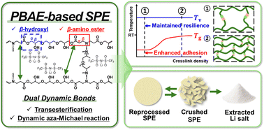 Graphical abstract: Fully recyclable, catalyst-free, highly adhesive, and resilient poly(β-amino esters) covalent adaptable network-based solid polymer electrolytes for lithium metal batteries