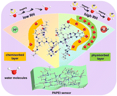 Graphical abstract: A flexible polyethyleneimine film sensor for high humidity monitoring