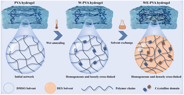 Graphical abstract: Fatigue-resistant hydrogels with programmable crystalline domain crosslinking enabled by coordinated thermal-solvent strategy