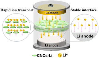 Graphical abstract: Shear-aligned nanocellulose enabling the development of stable all-solid-state lithium batteries