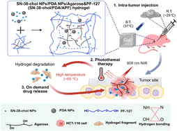 Graphical abstract: SN-38-cholesterol NPs-loaded PDA NPs/agarose & pluronic F-127 hydrogel system for controlled chemo-phototherapy in tumor-localized treatment