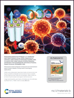 Graphical abstract: Back cover