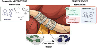 Graphical abstract: PEDOT:PSS conducting eutectogel for enhanced electrical recording and stimulation in implantable neural interfaces