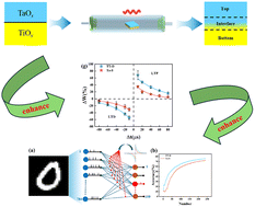 Graphical abstract: Bidirectional optimization of STDP conductance update characteristics for neural computing