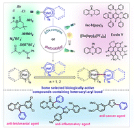 Graphical abstract: Visible-light-induced (hetero)aryl–heteroaryl bond-forming reactions