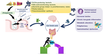 Graphical abstract: Dietary (poly)phenols, the gut-brain axis, and menopause: a perspective on an overlooked biological crossroad