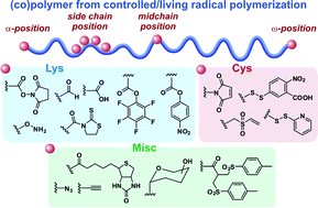Graphical abstract: Recent advances in the design of bioconjugates from controlled/living radical polymerization