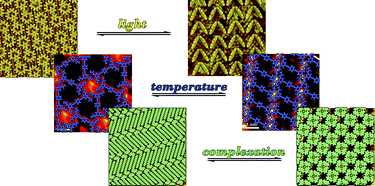 Graphical abstract: Supramolecular assembly/reassembly processes: molecular motors and dynamers operating at surfaces