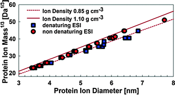 Graphical abstract: Determination of gas phase protein ion densities via ion mobility analysis with charge reduction
