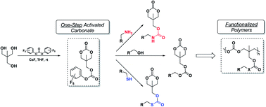 Graphical abstract: Synthesis of functionalized cyclic carbonate monomers using a versatile pentafluorophenyl carbonate intermediate