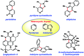Graphical abstract: Pyridynes and indolynes as building blocks for functionalized heterocycles and natural products