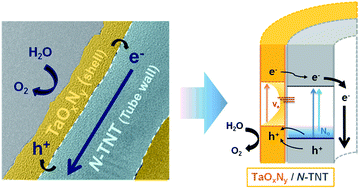 Graphical abstract: N-doped TiO2 nanotubes coated with a thin TaOxNy layer for photoelectrochemical water splitting: dual bulk and surface modification of photoanodes