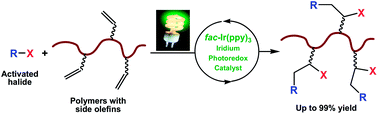 Graphical abstract: Photoredox catalyst-mediated atom transfer radical addition for polymer functionalization under visible light