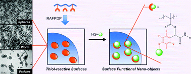 Graphical abstract: Thiol-reactive Passerini-methacrylates and polymorphic surface functional soft matter nanoparticles via ethanolic RAFT dispersion polymerization and post-synthesis modification