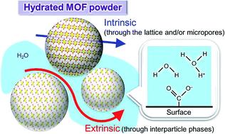 Graphical abstract: Intrinsic and extrinsic proton conductivity in metal-organic frameworks